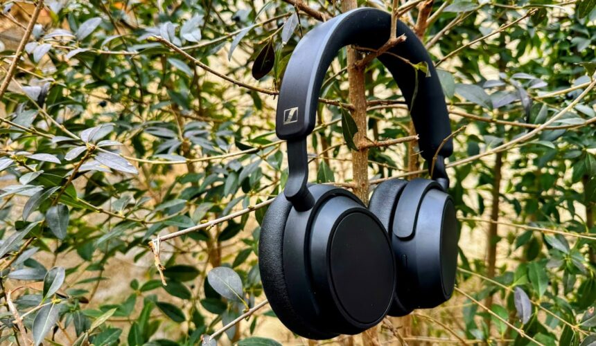 Accentum Plus náhled