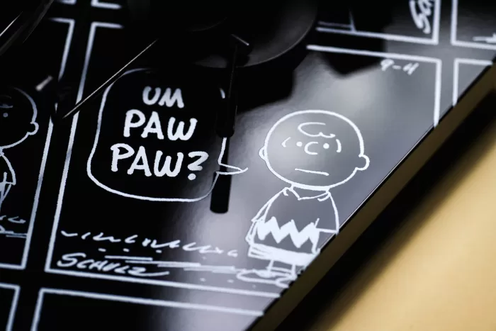 Pro-Ject T1 Peanuts detail