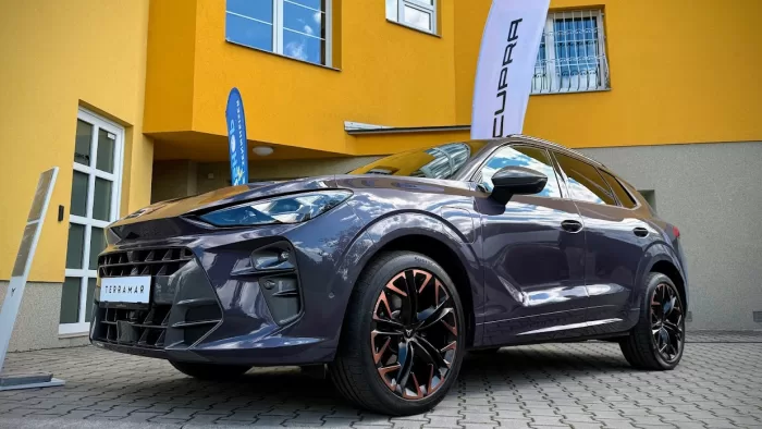 Cupra Terramar Panter 1238x696x