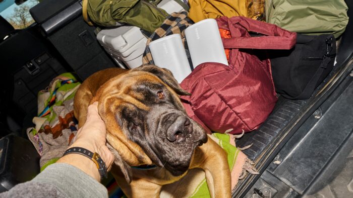 1c731cd653bde7642ca6d8c76be2cae9e4671915 2880x1620 0x0x