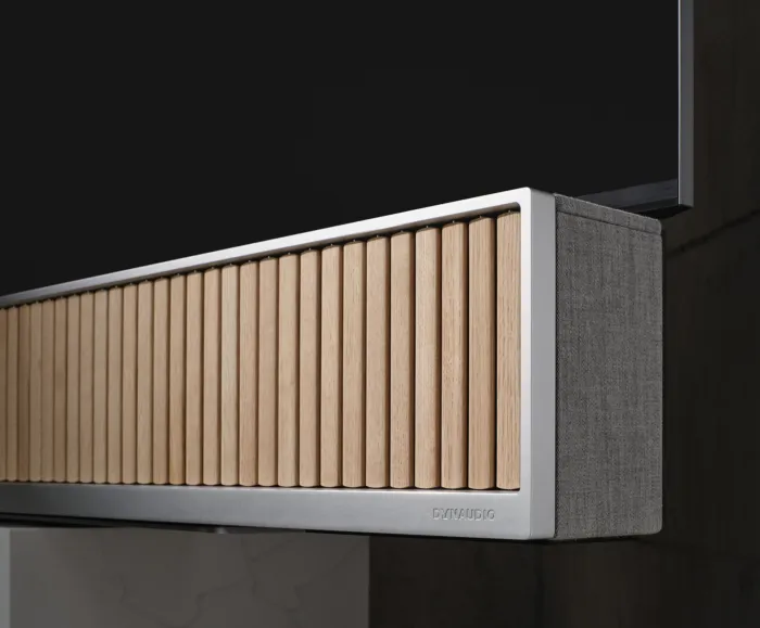 Dynaudio Opus One detail 1941x1605x