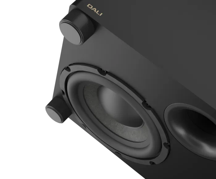 200 mm woofer disponuje lehkou papírovou membránou